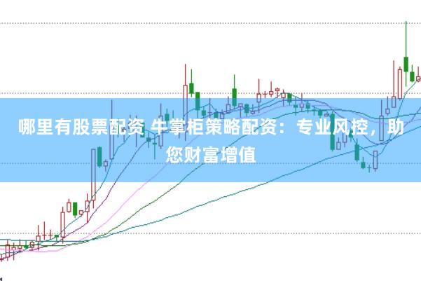 哪里有股票配资 牛掌柜策略配资：专业风控，助您财富增值