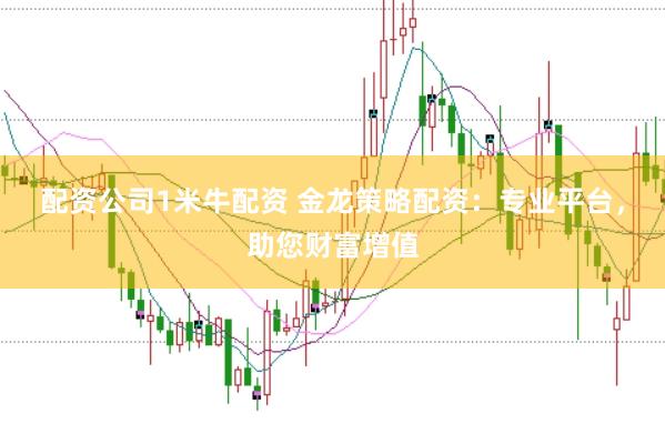 配资公司1米牛配资 金龙策略配资：专业平台，助您财富增值