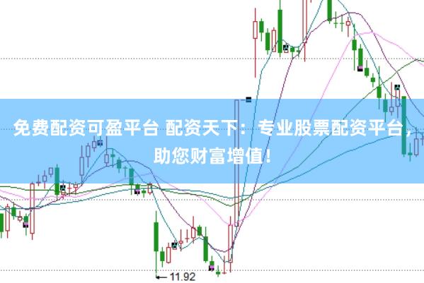 免费配资可盈平台 配资天下：专业股票配资平台，助您财富增值！