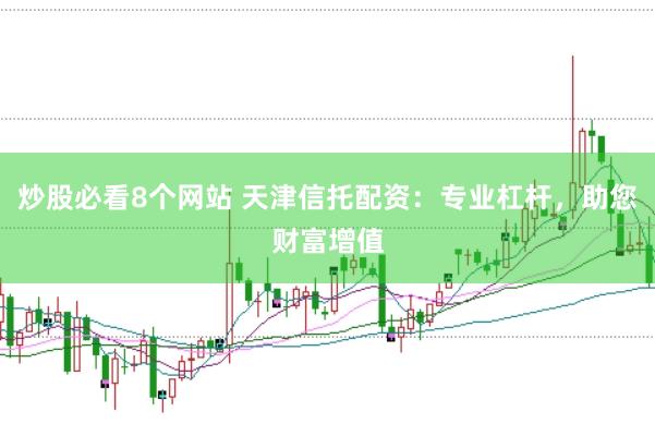 炒股必看8个网站 天津信托配资：专业杠杆，助您财富增值