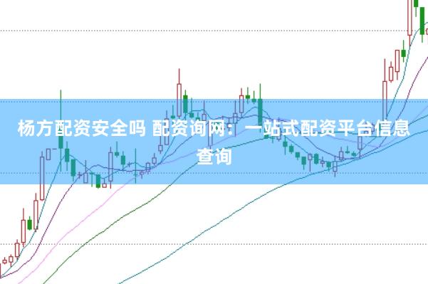 杨方配资安全吗 配资询网：一站式配资平台信息查询