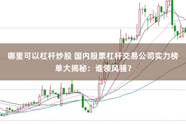哪里可以杠杆炒股 国内股票杠杆交易公司实力榜单大揭秘：谁领风骚？