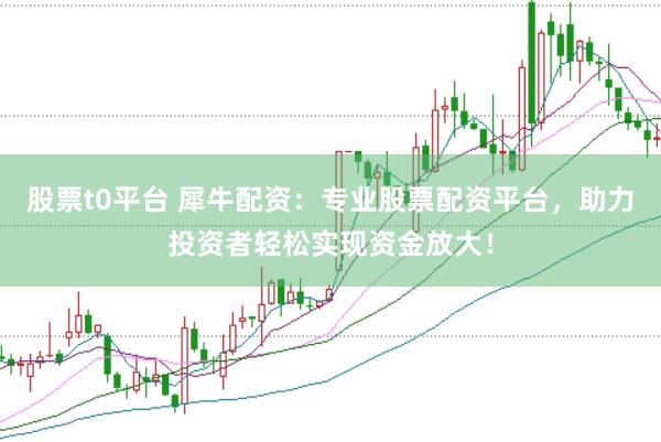 股票t0平台 犀牛配资：专业股票配资平台，助力投资者轻松实现资金放大！