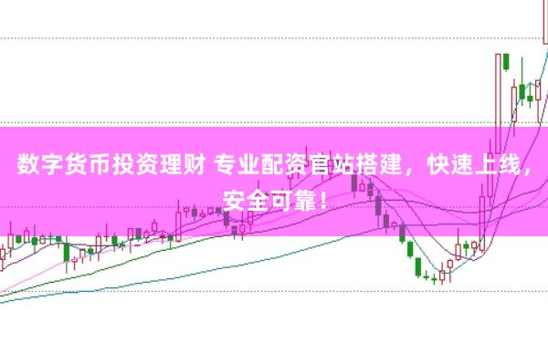 数字货币投资理财 专业配资官站搭建，快速上线，安全可靠！