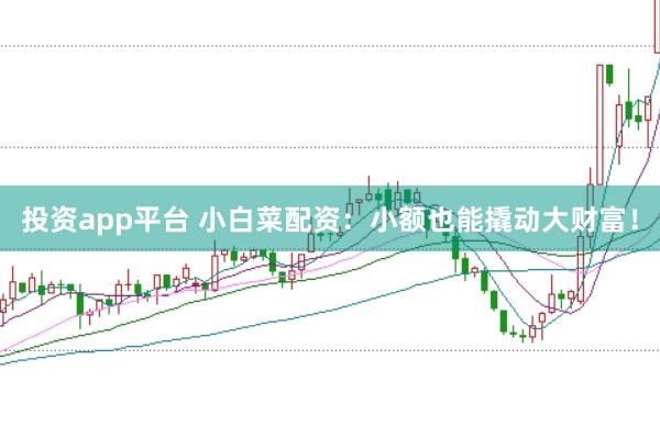 投资app平台 小白菜配资：小额也能撬动大财富！