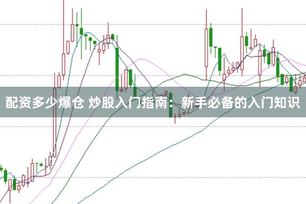 配资多少爆仓 炒股入门指南：新手必备的入门知识