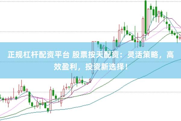 正规杠杆配资平台 股票按天配资：灵活策略，高效盈利，投资新选择！