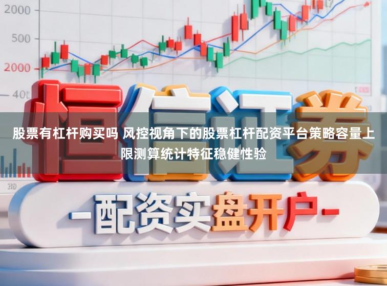 股票有杠杆购买吗 风控视角下的股票杠杆配资平台策略容量上限测算统计特征稳健性验