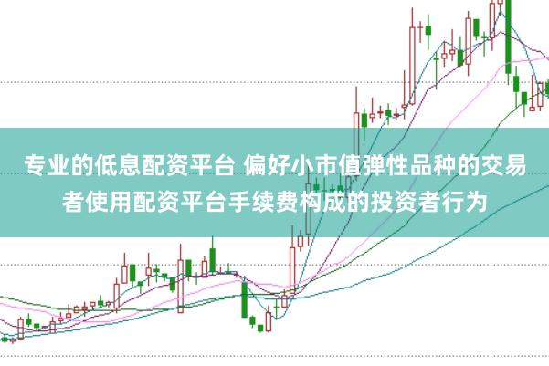 专业的低息配资平台 偏好小市值弹性品种的交易者使用配资平台手续费构成的投资者行为